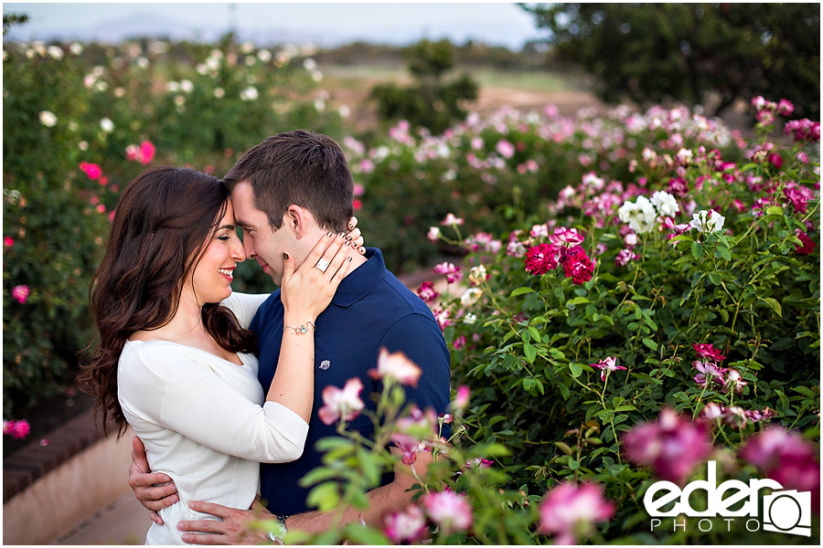 Rose Garden Engagement