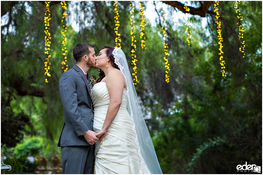 Green Gables Wedding Portraits tree lights