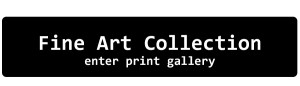 Fine Art Collection Print Gallery
