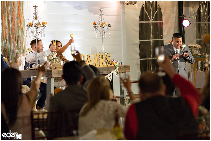 Toasts at San Diego Wedding