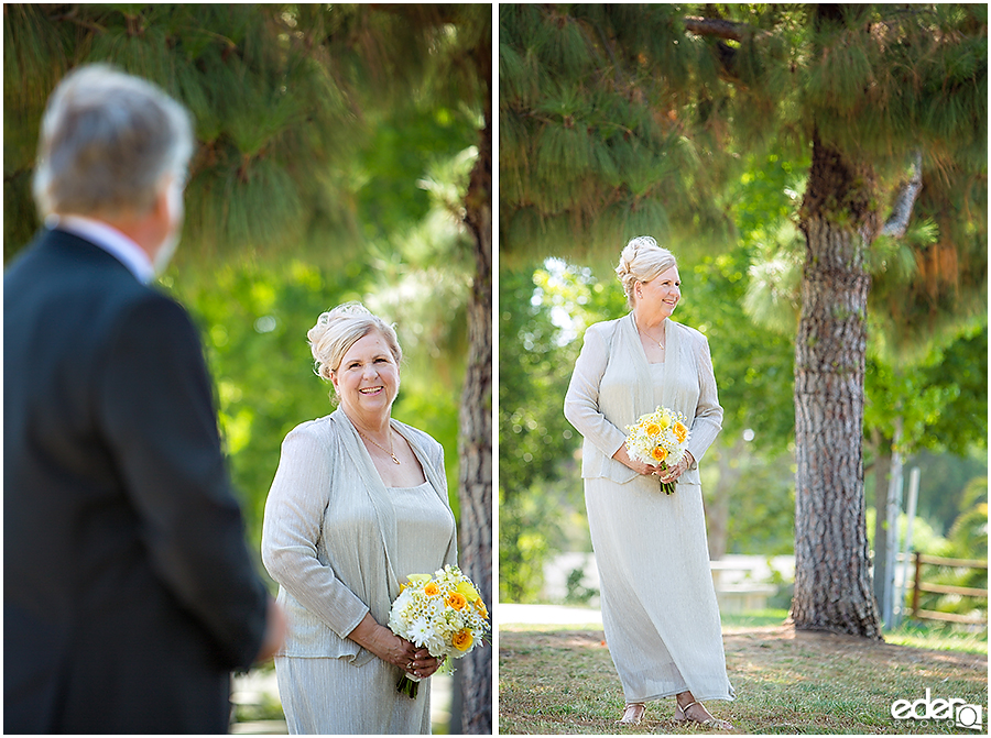 At-Home Wedding Photography bride portraits.