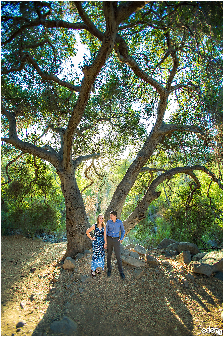 Mission Trails Engagement Session under a big tree. 