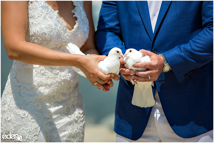 Doves from beach elopement at the Kona Kai Resort in San Diego, CA.