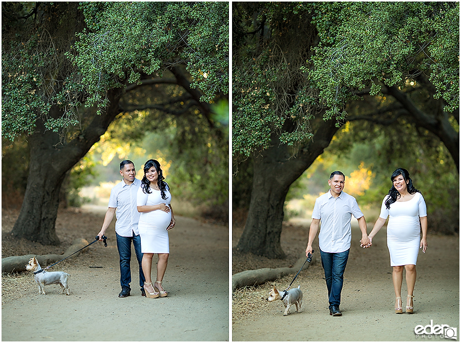 Rustic Maternity Photos in San Diego with dog.