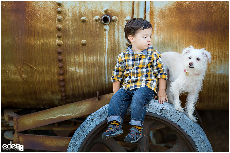 Dog portrait photography