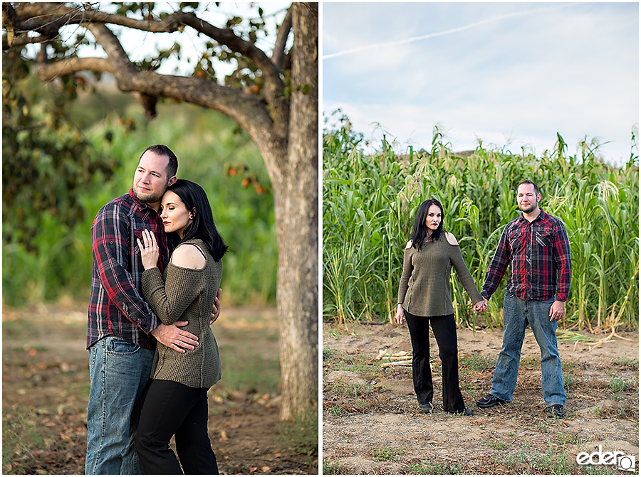 Pumpkin Patch Engagement Session