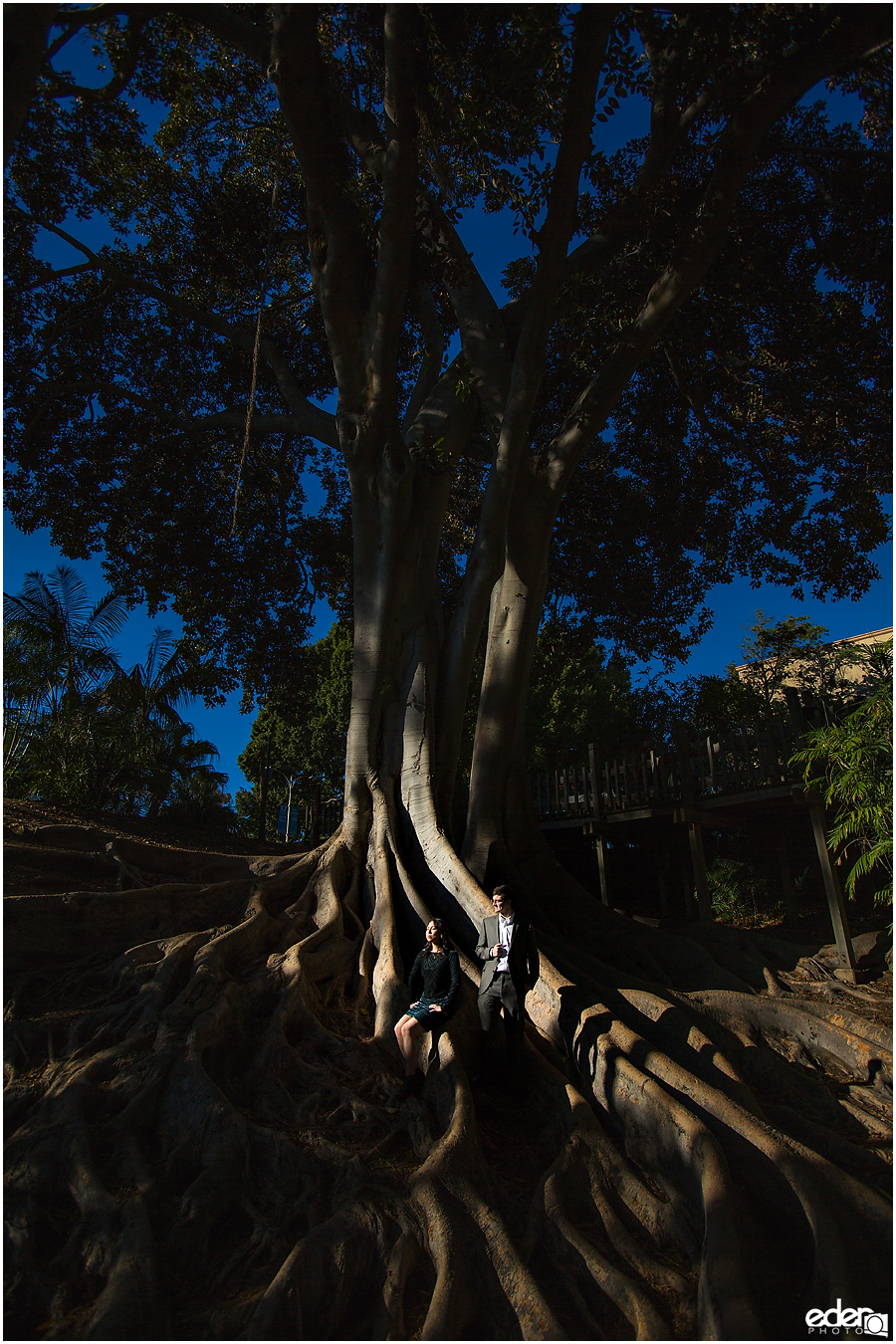 Portrait on Giant tree in Balboa Park