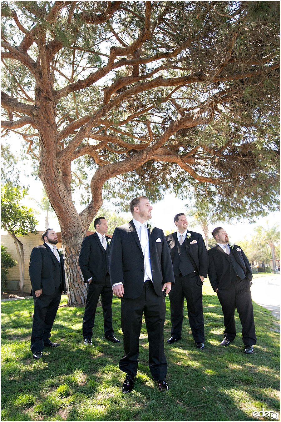 Paradise point groomsmen photo