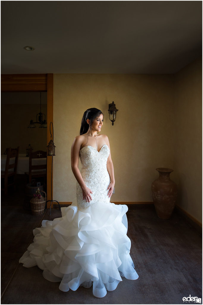 Vineyard Wedding bride portraits