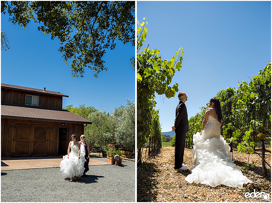 Vineyard Wedding first look