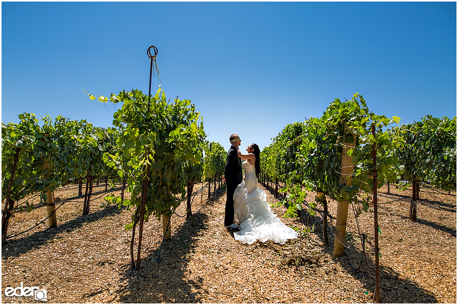 Vineyard Wedding first look