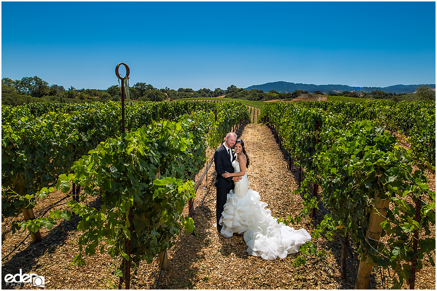 Vineyard Wedding first look