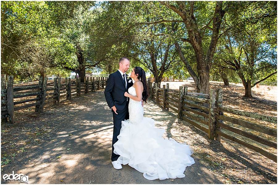 Vineyard Wedding bride and groom portraits.