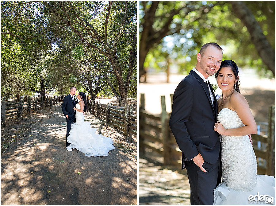 Vineyard Wedding bride and groom portraits.