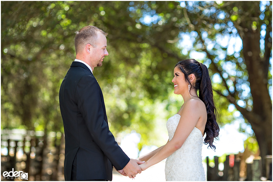 Vineyard Wedding bride and groom portraits.