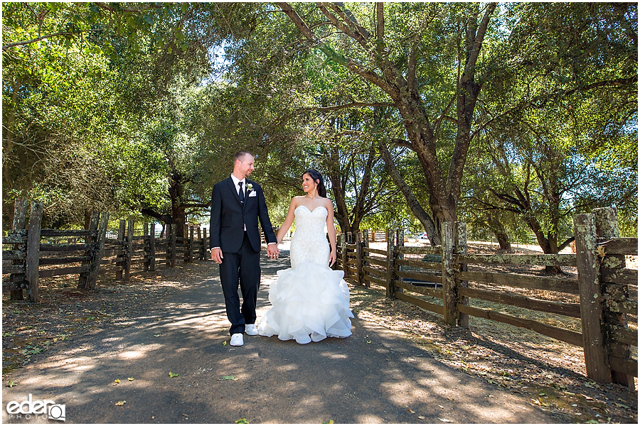 Vineyard Wedding bride and groom portraits.