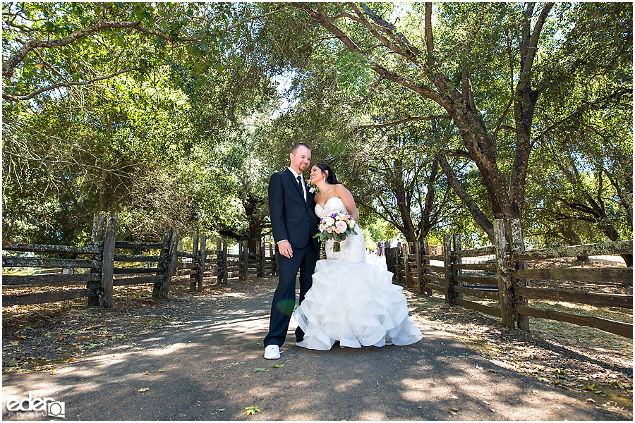 Vineyard Wedding bride and groom portraits.