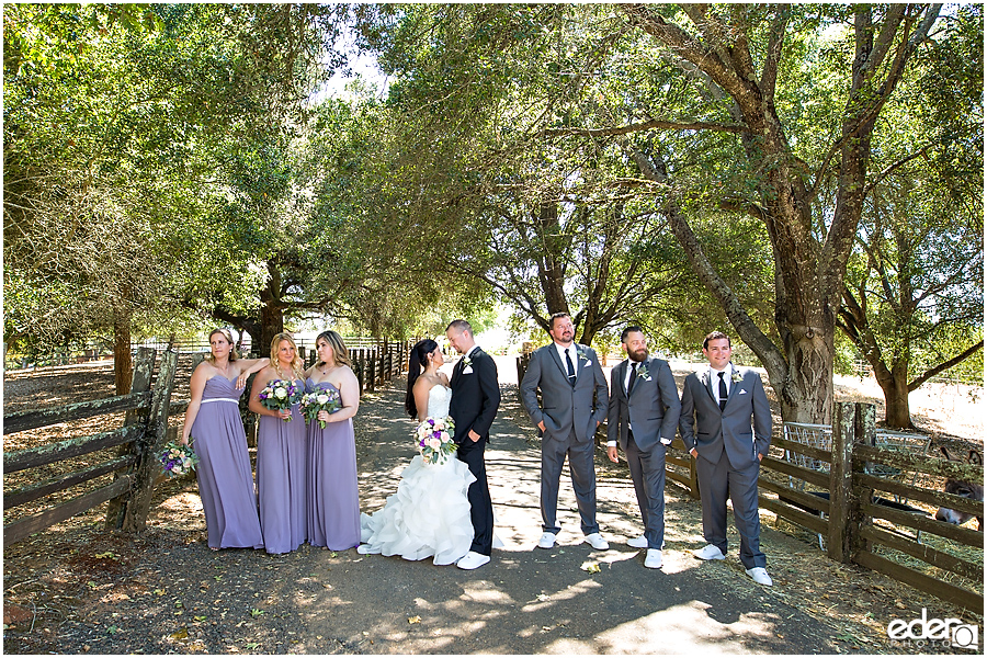 Vineyard Wedding party portraits.