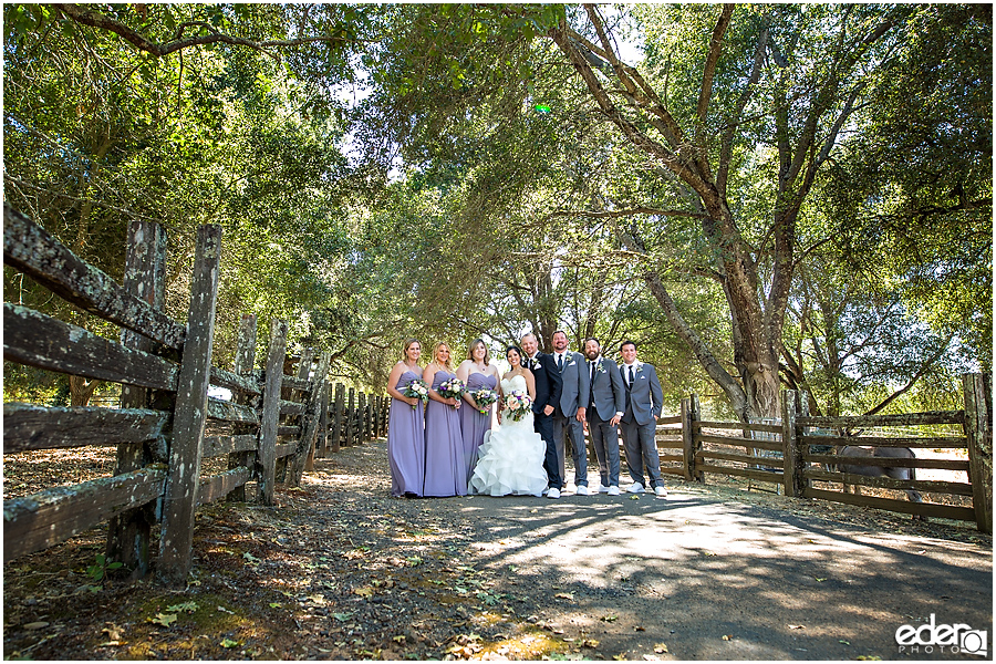 Vineyard Wedding party portraits.