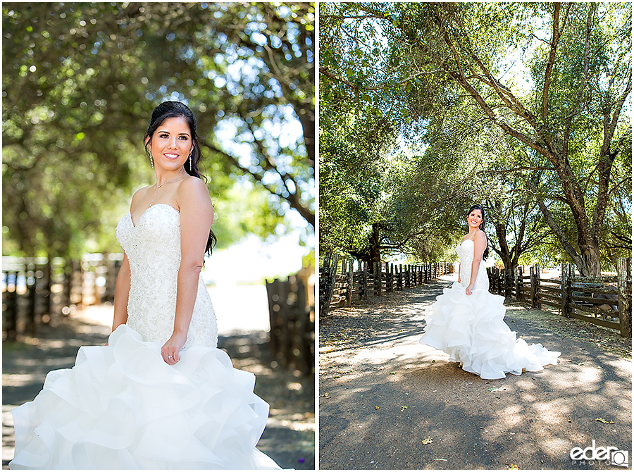 Vineyard Wedding bride portraits