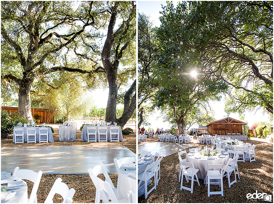 Vineyard Wedding reception details.