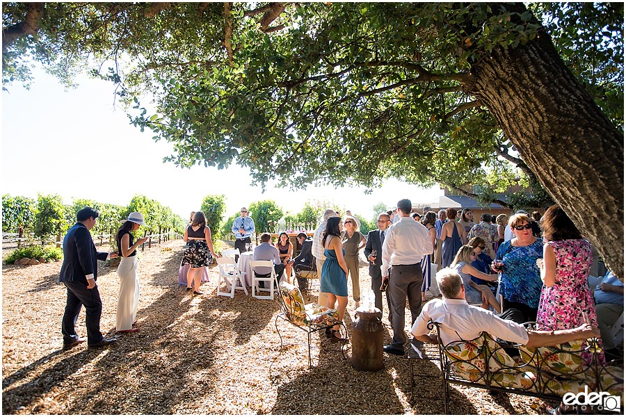 Vineyard Wedding cocktail hour.