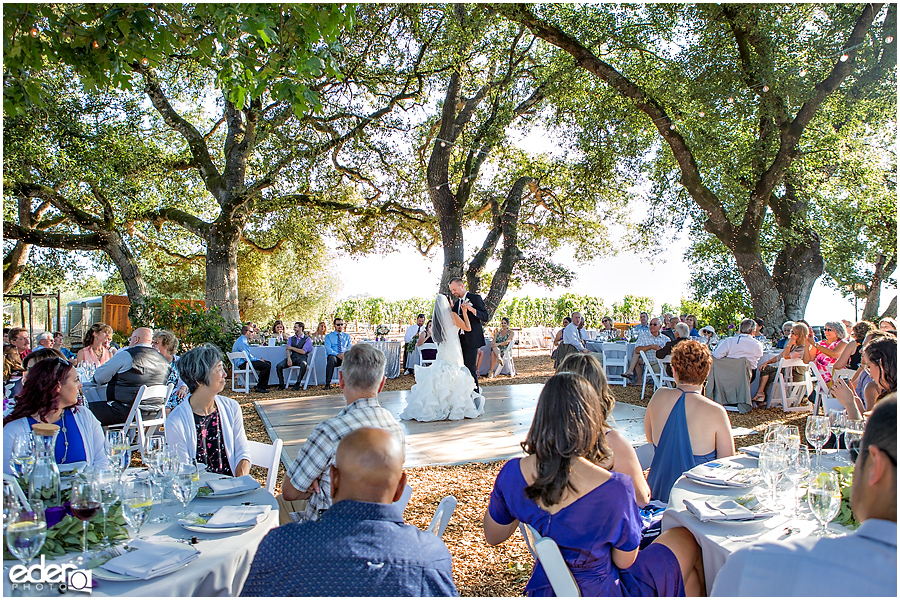 Vineyard Wedding reception first dance.