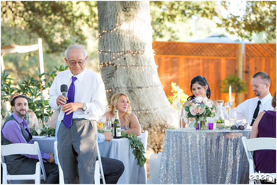 Vineyard Wedding reception toasts.