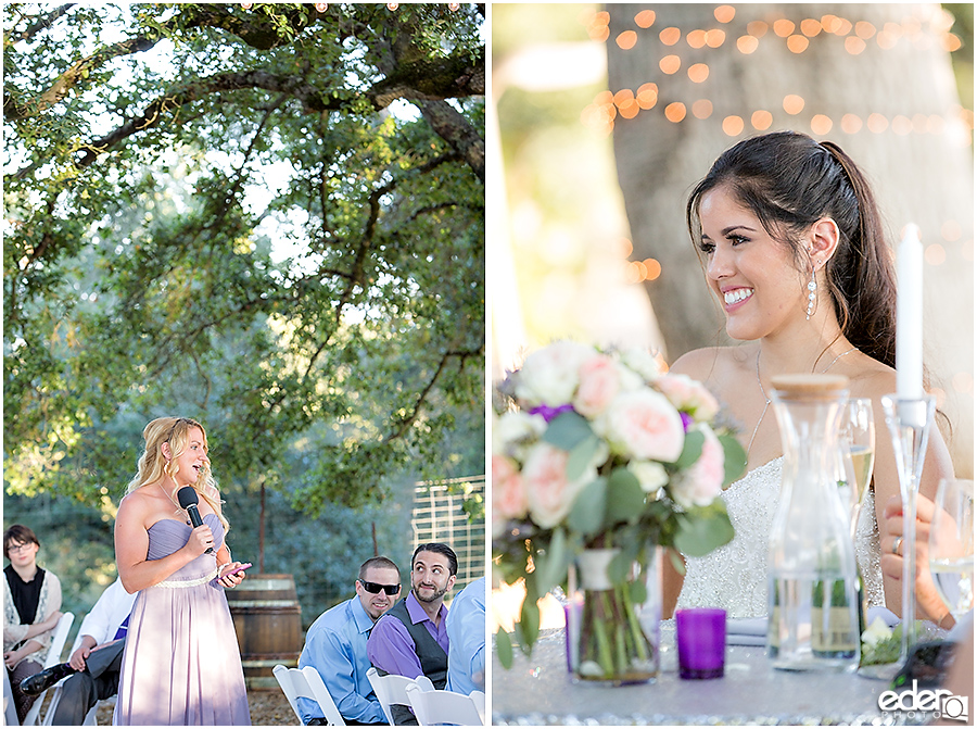 Vineyard Wedding reception toasts.