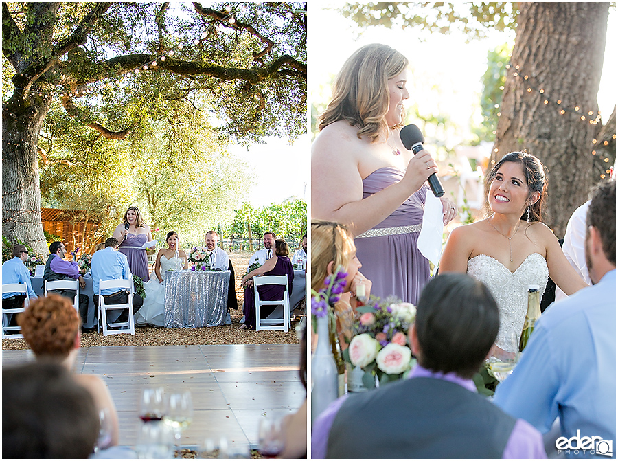 Vineyard Wedding reception toasts.