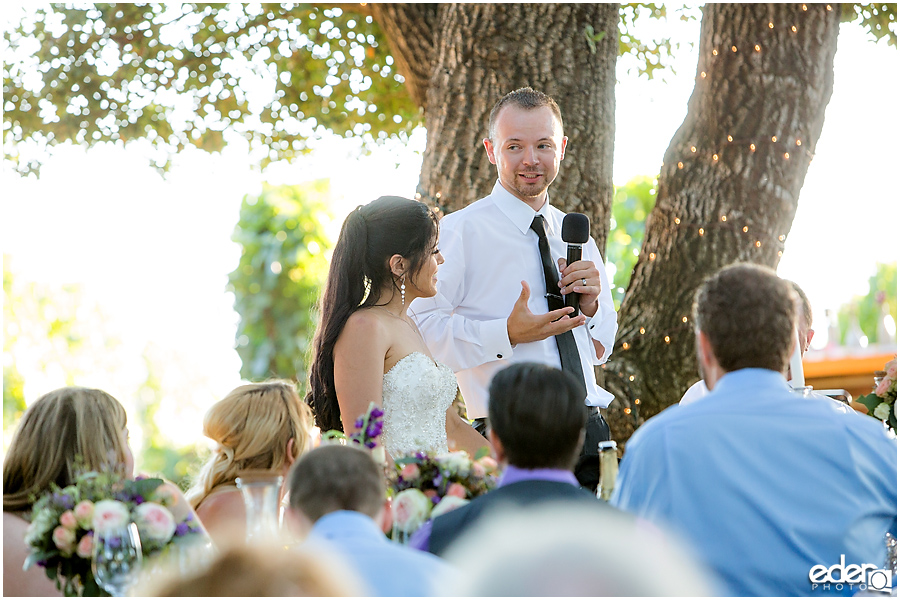 Vineyard Wedding reception toasts.