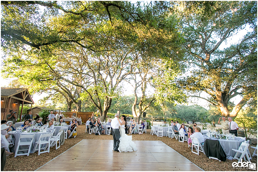 Vineyard Wedding bride and father dancing.