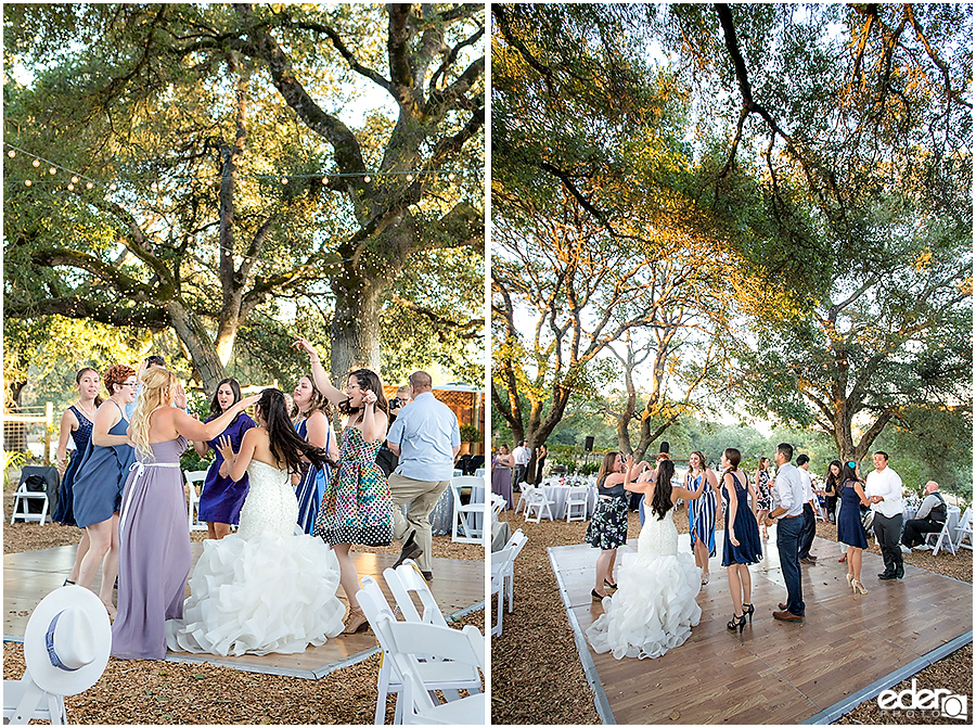 Vineyard Wedding reception dancing.