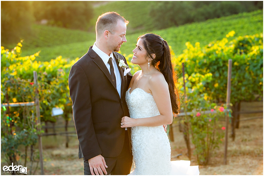 Vineyard Wedding bride and groom sunset portraits.