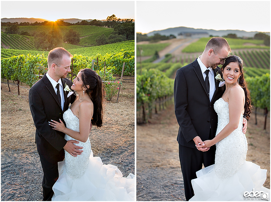 Vineyard Wedding bride and groom sunset natural light portraits.