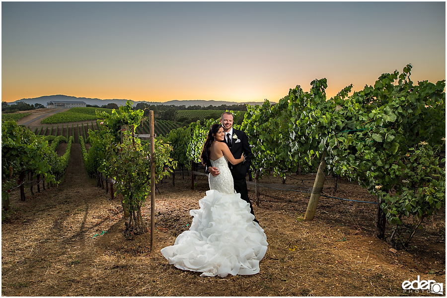 Vineyard Wedding bride and groom sunset portraits.