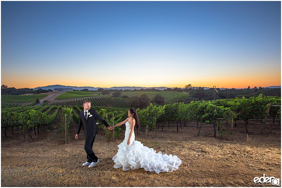 Vineyard Wedding bride and groom sunset portraits with flash.