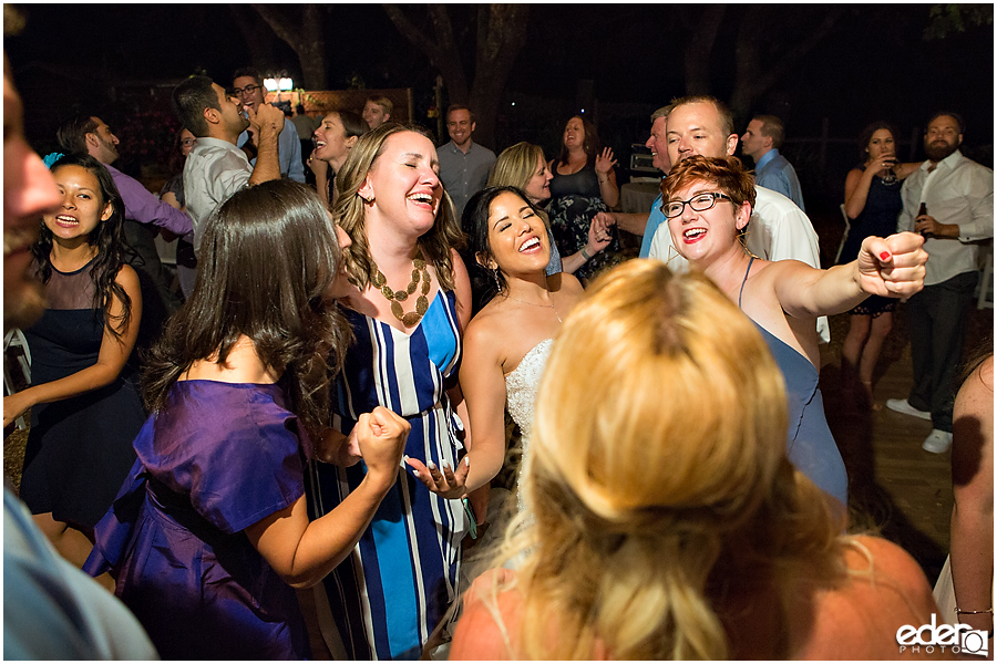 Vineyard Wedding reception dancing.