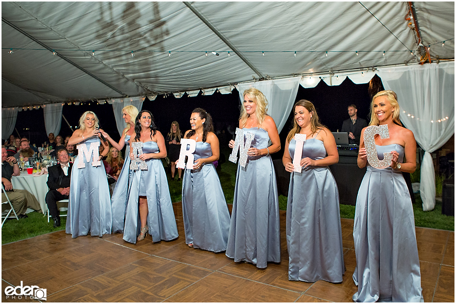 Private Estate Wedding Reception: maid of honor toast