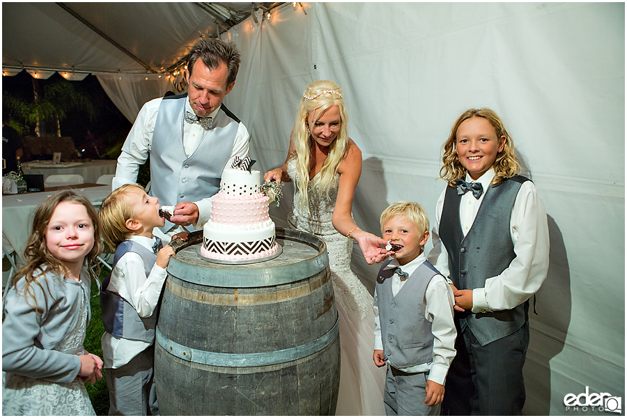 Private Estate Wedding Reception: cake cutting