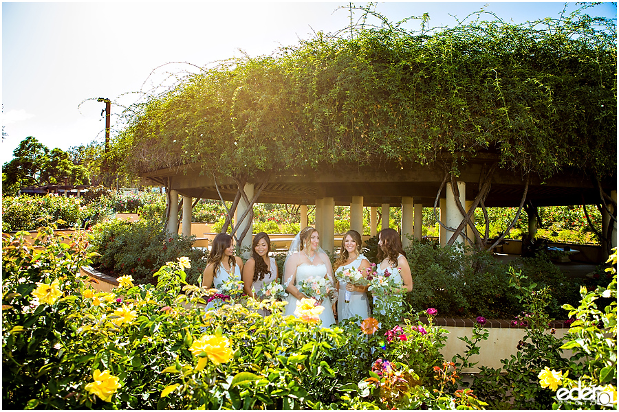 San Diego Natural History Museum Wedding - Bridesmaids in Rose Garden.