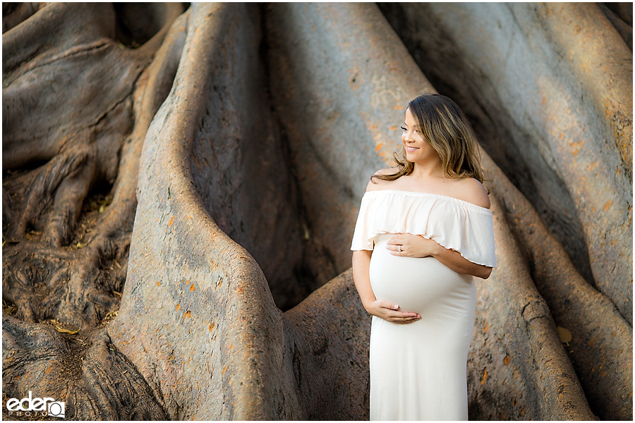 Balboa Park maternity session with giant tree roots.