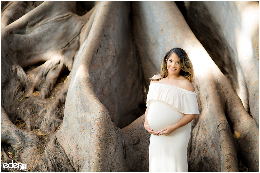 Balboa Park maternity session in tree roots.