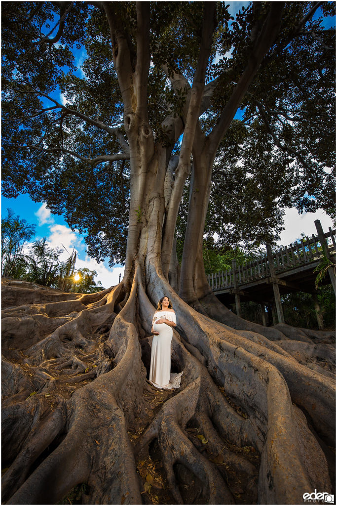 Balboa Park maternity session.