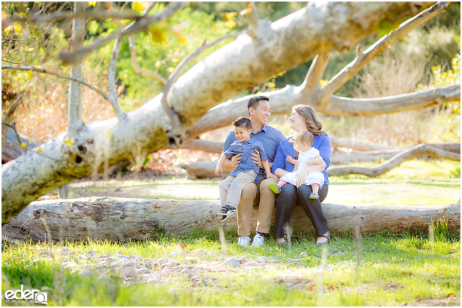 Spring Mini Portrait Session - family sitting